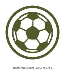 2025年NBA球员收入榜前十揭晓：库里领跑，詹姆斯紧随其后