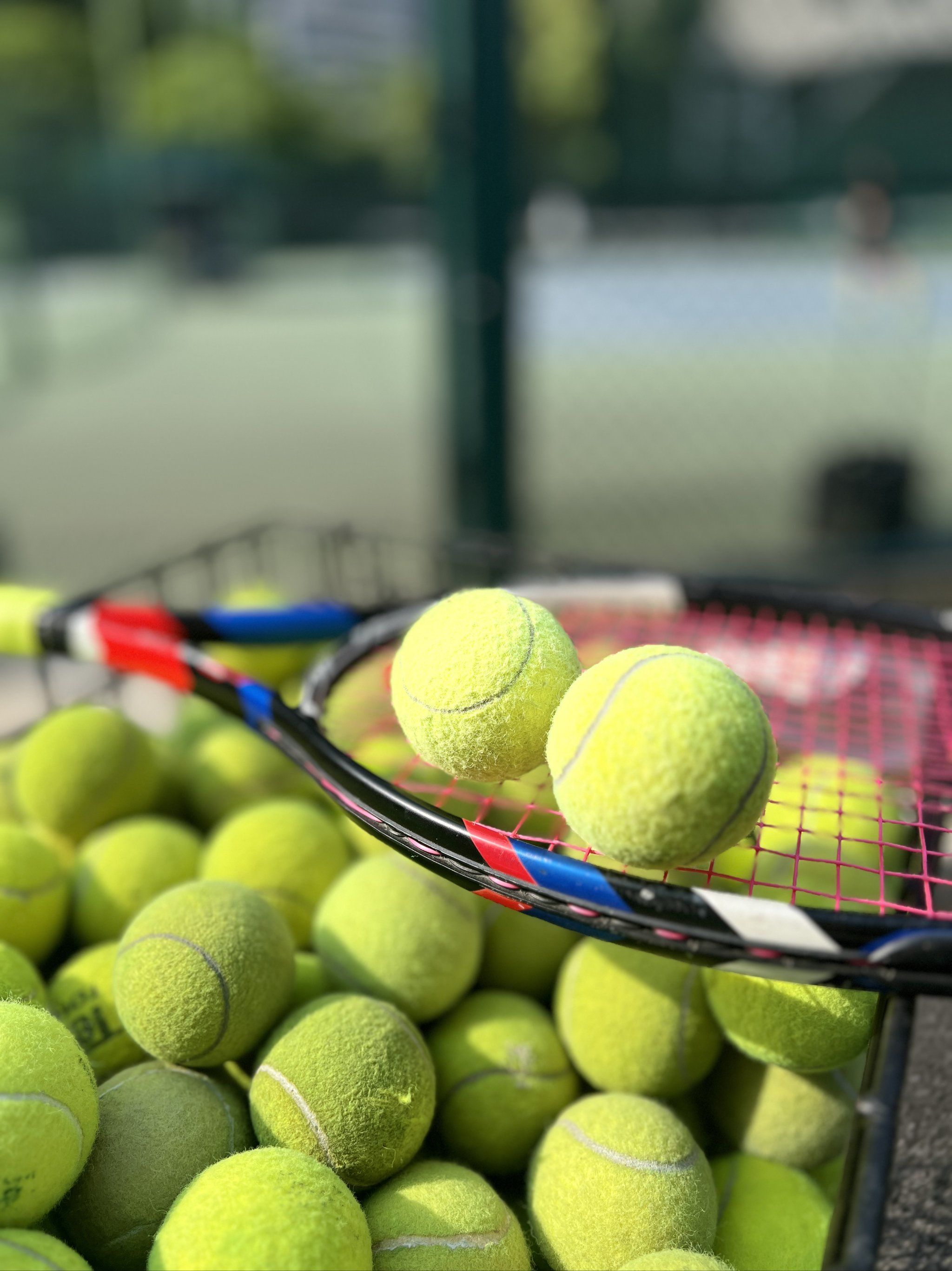 瞩目的成绩 瞩目的成绩